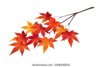 Illustration of a maple tree at the end of a branch