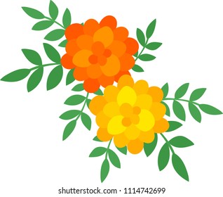 The illustration of marigold