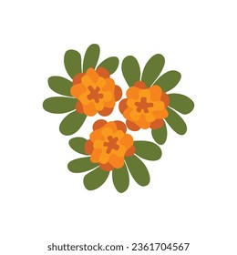Illustration marigold flowers  Ritual flowers for the day the dead  Mexican traditions  Single element 