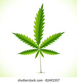 illustration of marijuana leaf on abstract background
