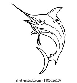 illustration of marlin fish
