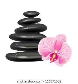 Illustration with massage stones and orchid. White background