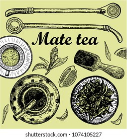 Illustration with mate tea in calabash and bombilla and "yerba mate" plant. Drink mate, bomber, calabash, and mate branch and leaves. Hand drawn illustration.