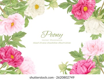 Illustration material of a beautiful large pink peony flower painted in watercolor