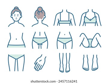 Illustration material by hair removal parts