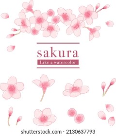 Illustration material of cherry blossoms