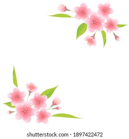 Illustration material of cherry blossoms (vector, white background, cut out)