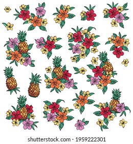 Illustration material collection of hibiscus and pineapple,