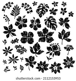 Illustration material collection of tropical plants,