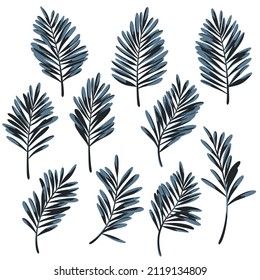 Illustration material collection of tropical plants,