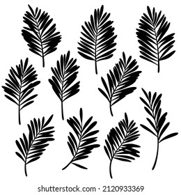 Illustration material collection of tropical plants,