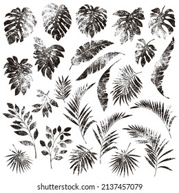 Illustration material collection of tropical plants,