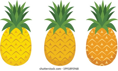 
Material de ilustración de diferentes colores de frutos de piña