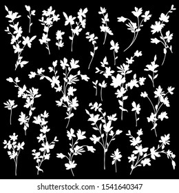 Illustration material of a flower designed simply,
I designed a flower,
