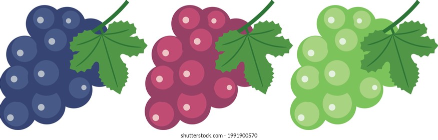 Material de ilustración de uvas con hojas