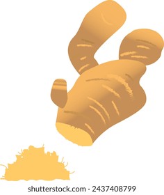 Material de ilustración de jengibre rallado