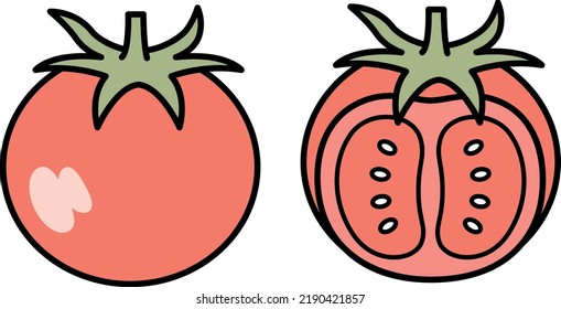 Illustration material of mini tomato.