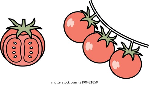 Material de ilustración de mini tomate.