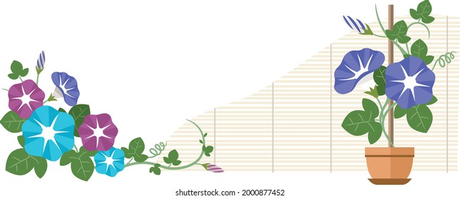 Illustration material of morning glory and blind