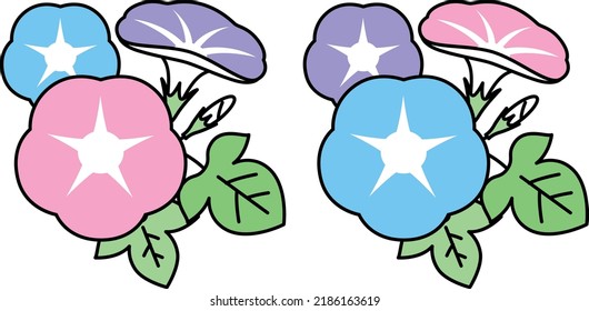 Illustration material of morning glory flowers, leaves and buds