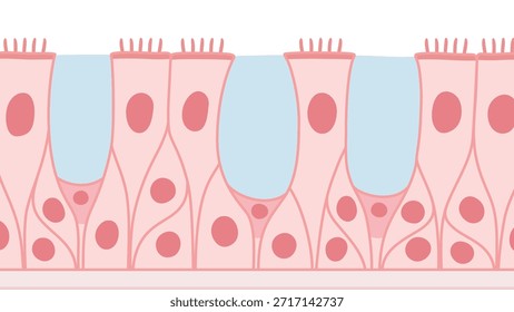 Material de ilustración del epitelio ciliado multihebra