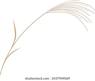 Illustration material of pampas grass