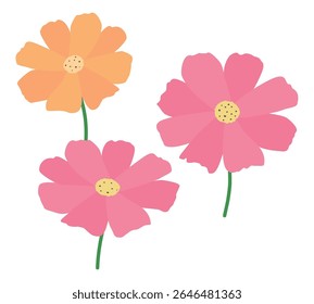 Illustration material of pink and orange cosmos.