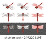 Illustration material set of autumn darter