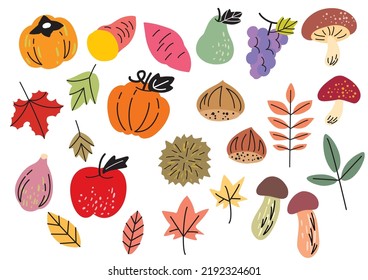Illustration material set of simple and stylish autumn vegetables and fruits