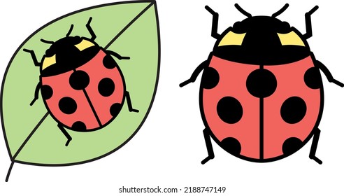 Material de ilustración de escarabajo de siete manchas