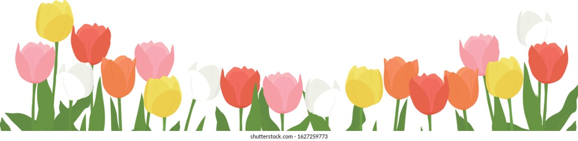 Illustration material of tulips drawn in vector