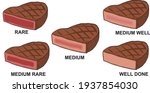 illustration of maturity level of steak, Steak Doneness infographic - vector