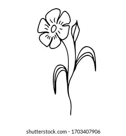 Illustration of meadow flowers and herbs. Vector. Doodle black lines on a white background.