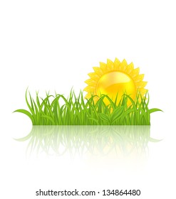 Illustration meadow with green grass and yellow sun - vector