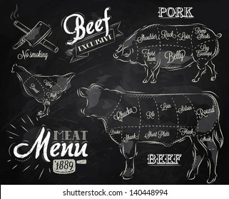 Illustration of meat for menu, steak, cow, pig, chicken divided into pieces in vintage style drawing with chalk on chalkboard background.