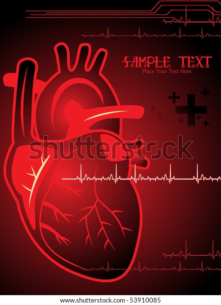 Illustration Medical Background Isolated Human Heart Stock Vector ...