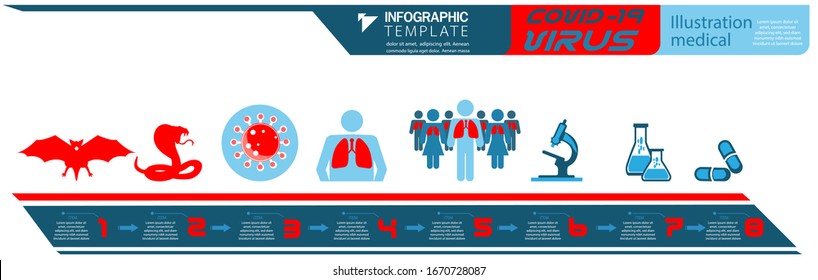 Illustration medical covid-19 virus from bat to snake,people,method find treatment with step  numbers, modern design idea  concept vector  infographic template,flat design.