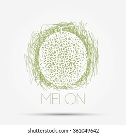 Illustration of melon