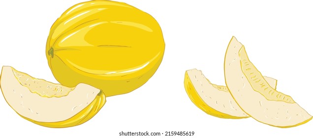 Illustration of a melon whole and in pieces. Vector illustration