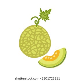 Ilustración de un melón. Todo y un trozo de melón.