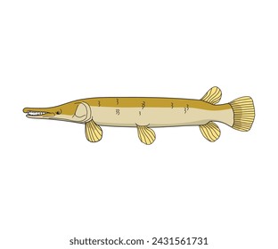 Illustration of a menacing Alligator Gar, highlighting its prehistoric appearance and formidable presence. Perfect for fishing enthusiasts, wildlife designs, and aquatic-themed projects. 