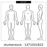 Illustration of men's body and male anatomy. Front, back and side view. Outline Vector Illustration - Vector