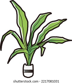 Illustration of Microsorium (aquatic plants)