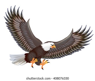 Illustration of the mighty predator eagle in flight isolated on a white background