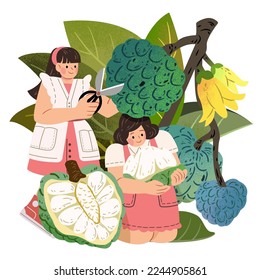 Illustration of miniature girls in cute uniform cutting sugar apple with scissors and holding a cut sugar apple. Tropical fruits and character themed illustration.
