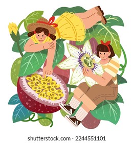 Illustration of Miniature girls pointing at passion fruit and holding flower while lying and sitting on leaf.Tropical fruits and character themed illustration.