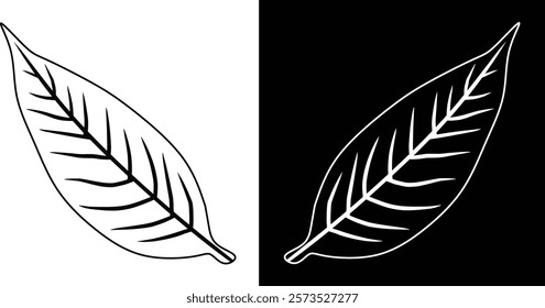 Illustration of a minimal style leaf depicted as a line art on contrasting backgrounds, black and white. doodle drawing