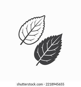 illustration of mint leaf, vector art.