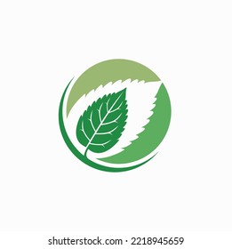 illustration of mint leaf, vector art.