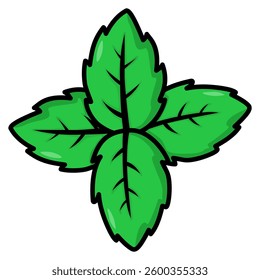 Illustration of mint leaves herb